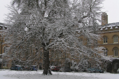 P1210045